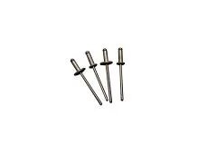 1/8" Small Head Black Rivet