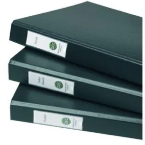 3L Label Holder 19 X 75Mm Pack 16