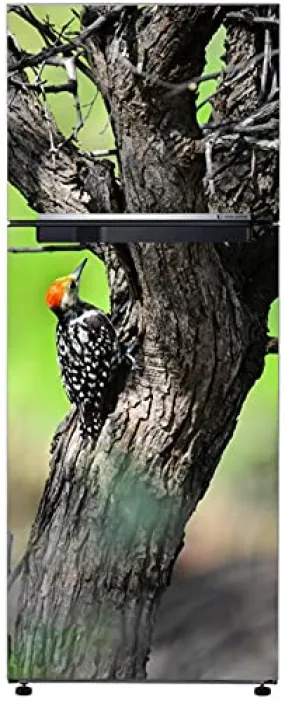 Byteon Abstract Beautiful Bird on Tree Extra lardge Fridge Sticker for Fridge Decor (PVC Vinyl Multicolor) fd356