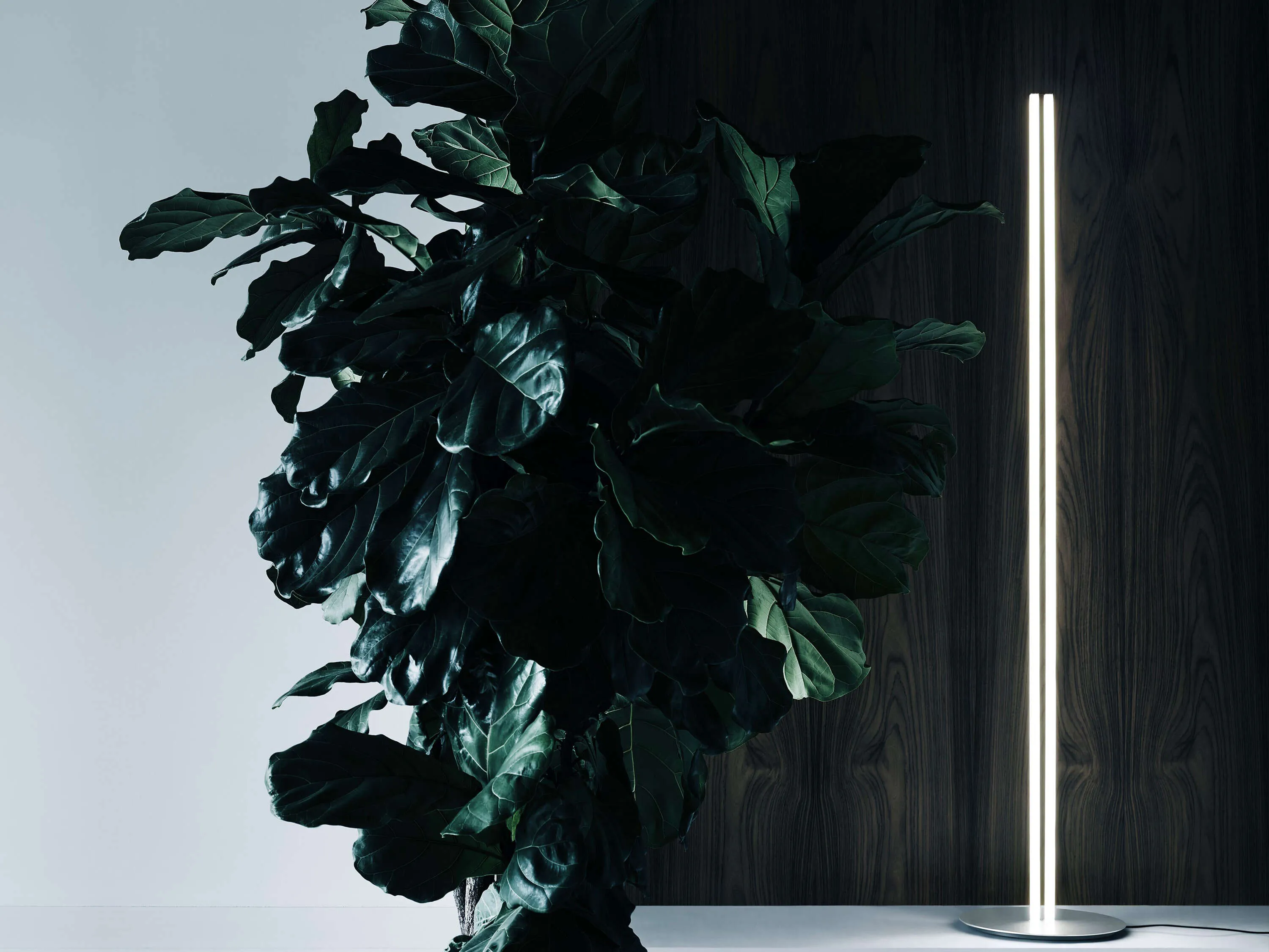 Coordinates F Floor Lamp