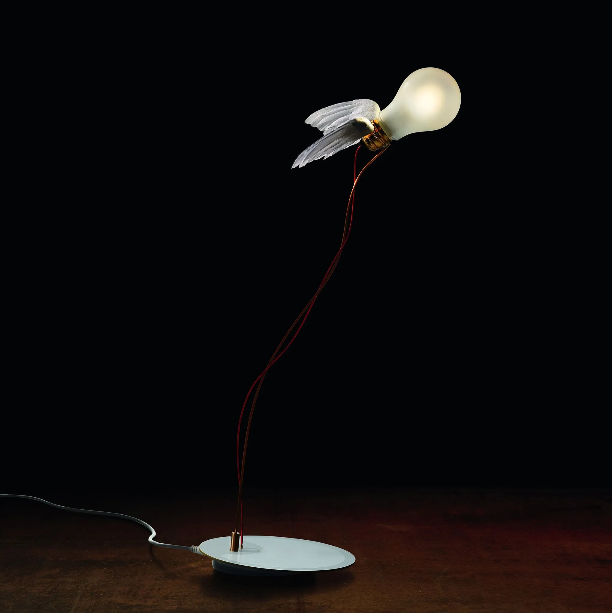 Lucellino LED Table Lamp