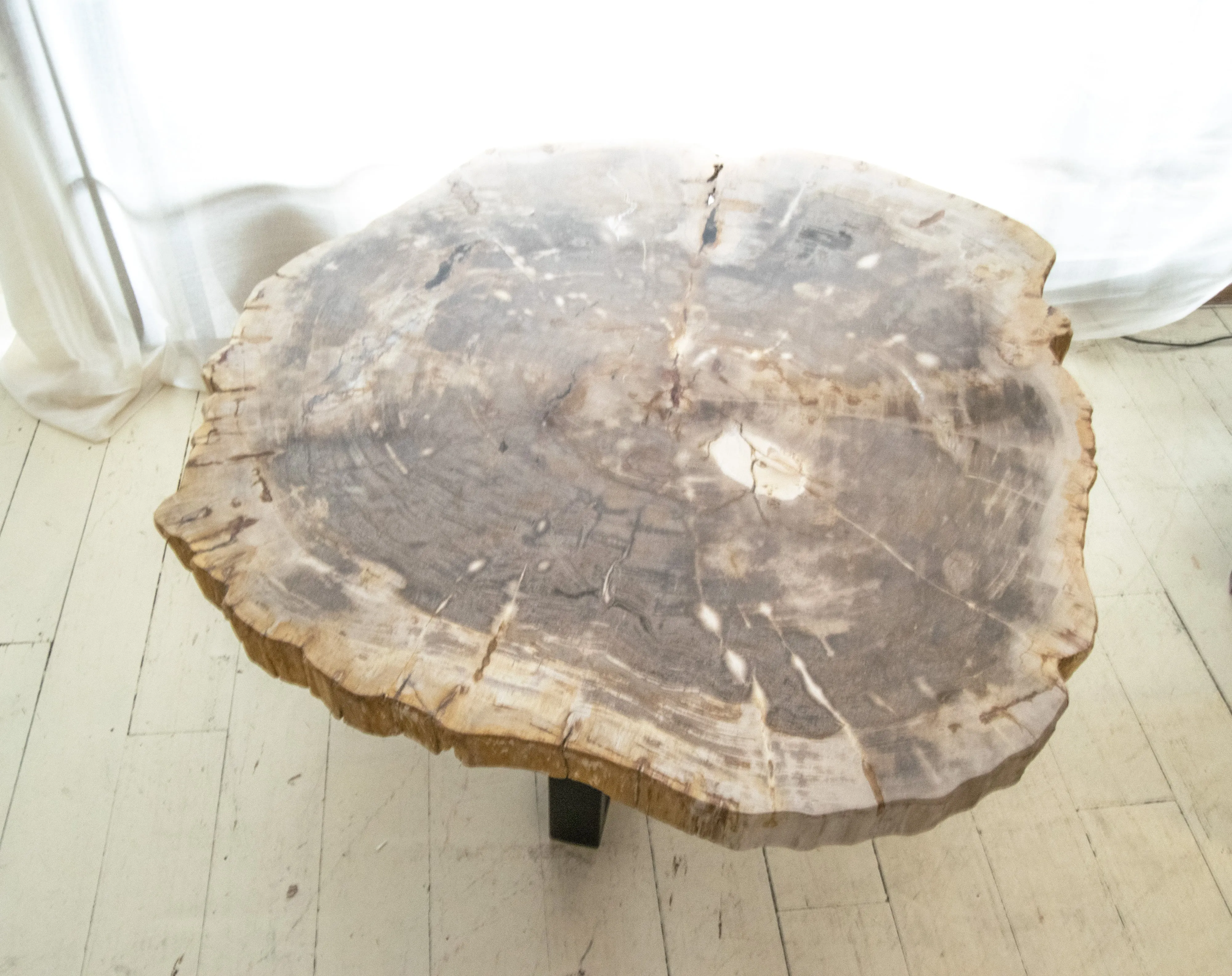 Petrified Wood Coffee Table