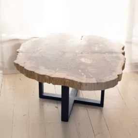 Petrified Wood Coffee Table