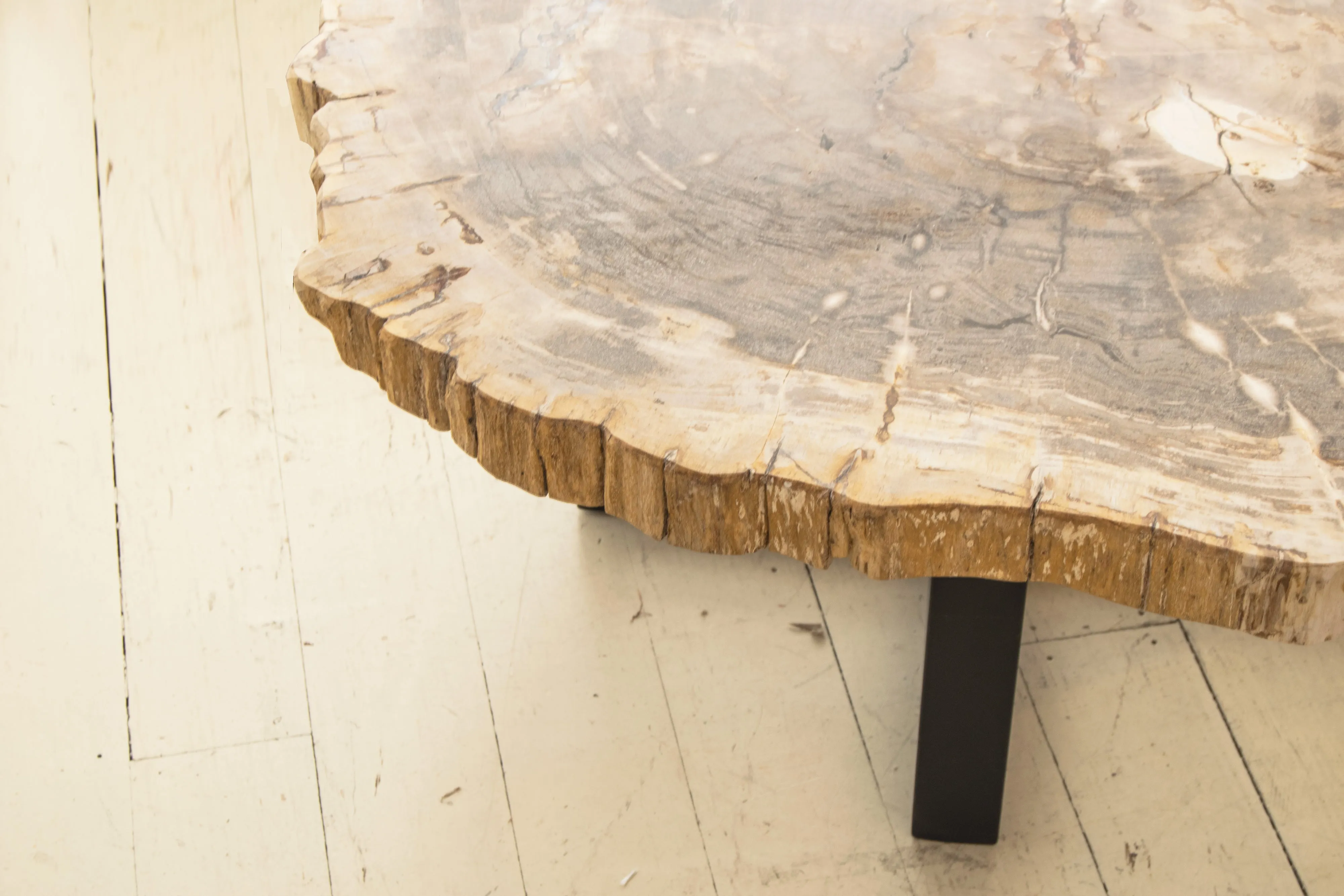 Petrified Wood Coffee Table