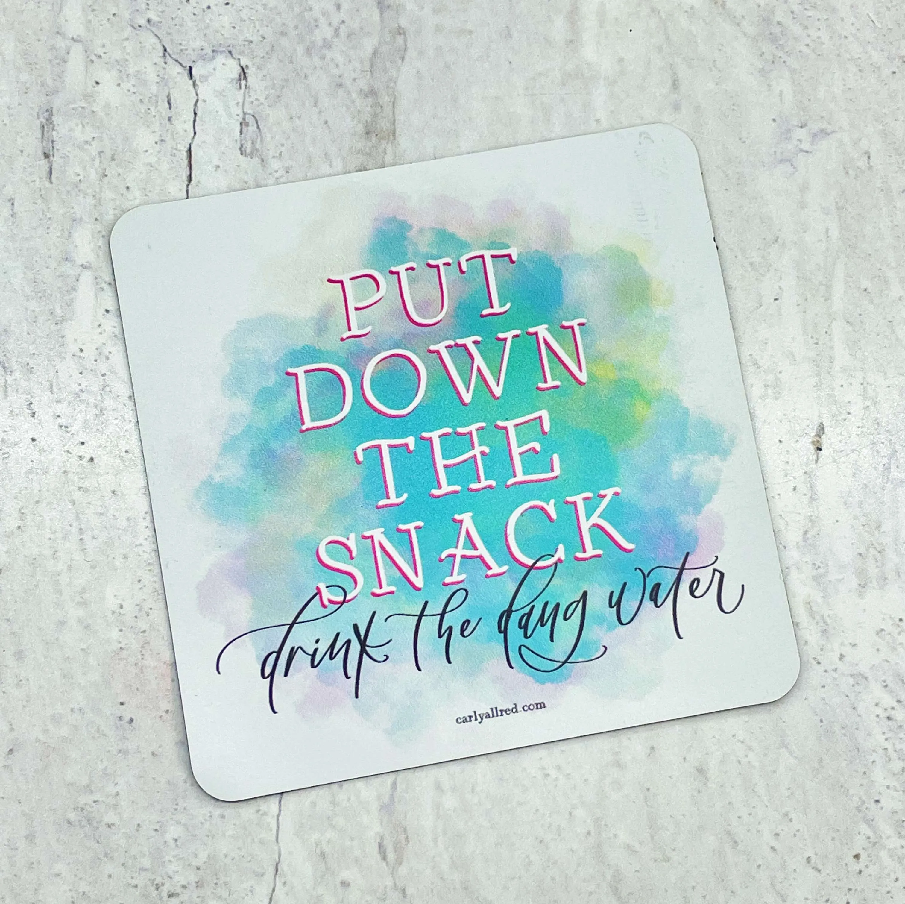 Put Down the Snack Drink the Dang Water Magnet