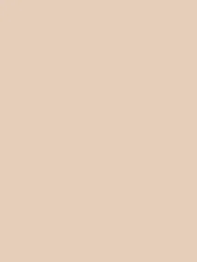 Savage Widetone Seamless Background Paper (Egg Nog, 107" x 36)