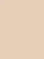 Savage Widetone Seamless Background Paper (Egg Nog, 107" x 36)