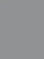 Savage Widetone Seamless Background Paper (Fashion Gray, 53" x 36)