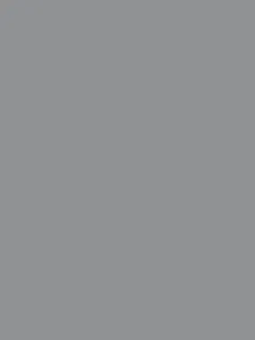 Savage Widetone Seamless Background Paper (Fashion Gray, 53" x 36)