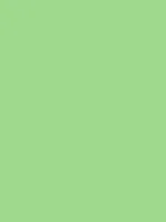 Savage Widetone Seamless Background Paper (Mint Green, 107" x 36)