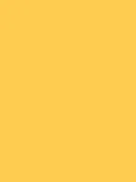 Savage Widetone Seamless Background Paper (Sand, 53" x 36)