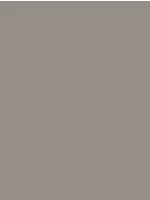 Savage Widetone Seamless Background Paper (Storm Gray, 53" x 36)