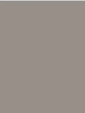 Savage Widetone Seamless Background Paper (Storm Gray, 53" x 36)