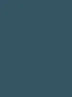 Savage Widetone Seamless Background Paper (Ultramarine, 107" x 36)
