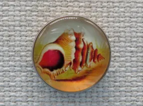 Seashell Domed Needle Minder, Cover Minder, Magnet LAST ONE!