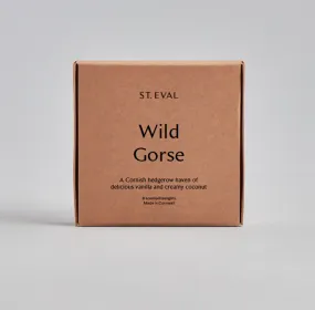St Eval Wild Gorse Tealight Candles