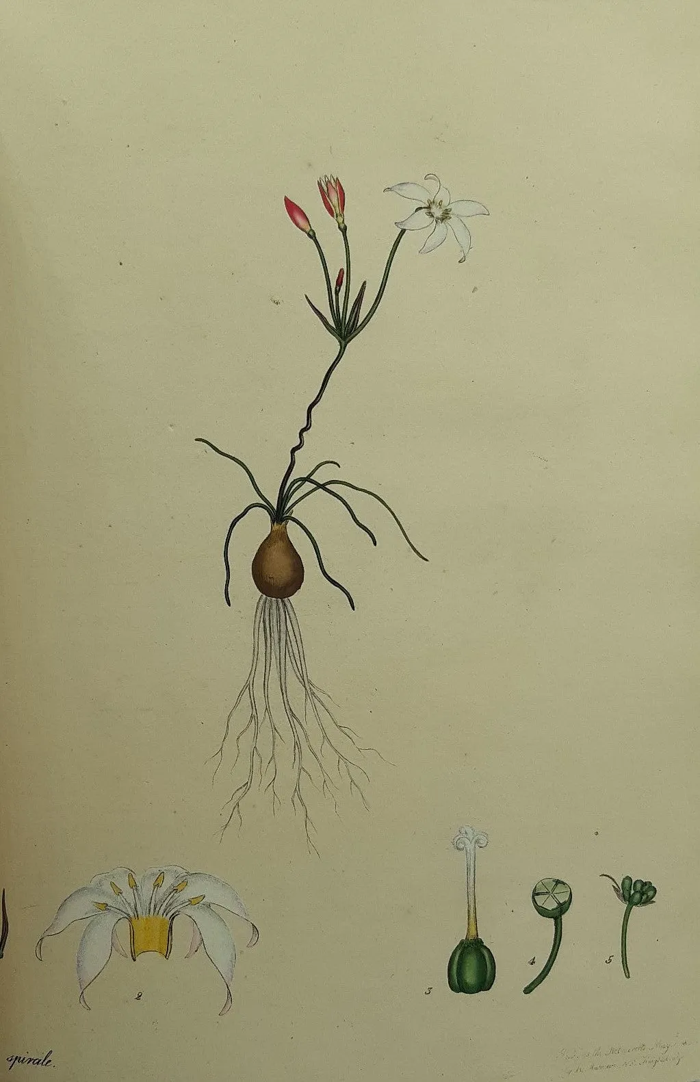 The Botanists Repository