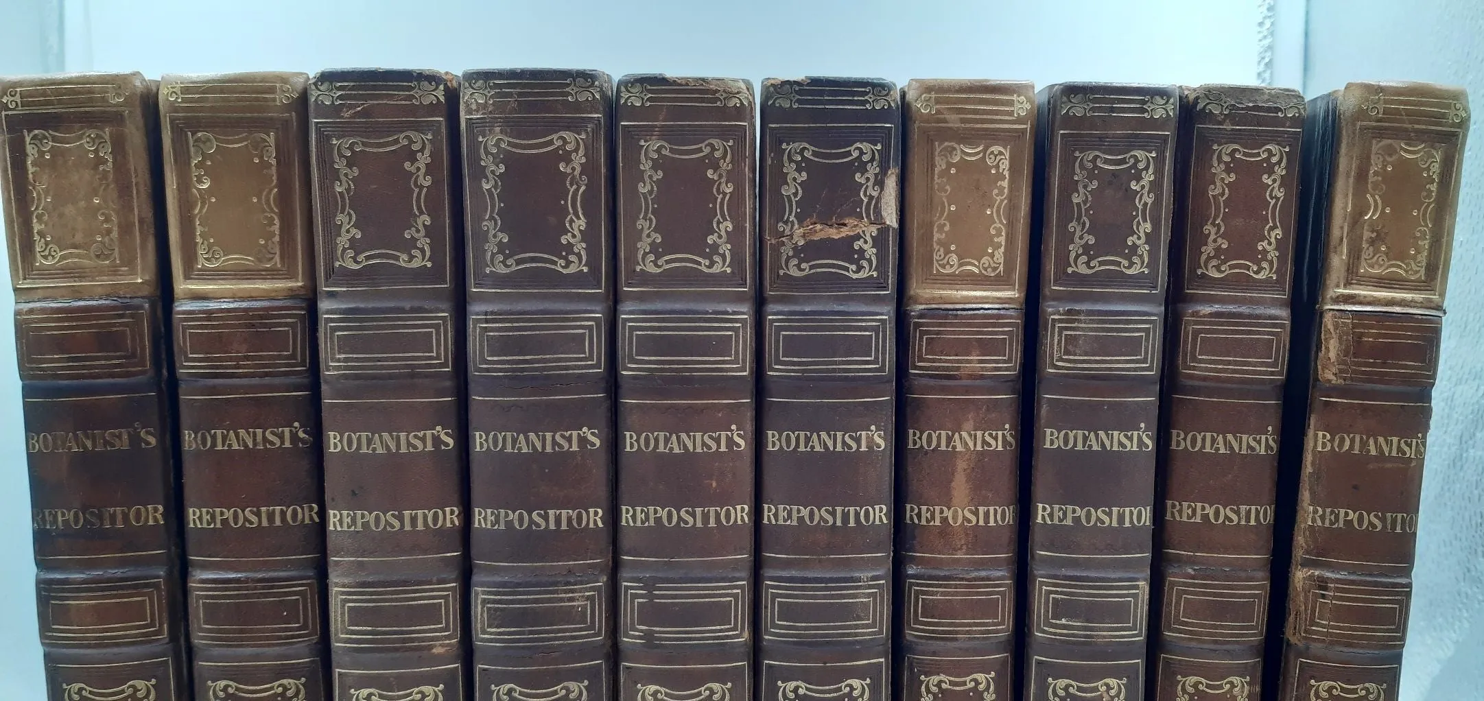 The Botanists Repository