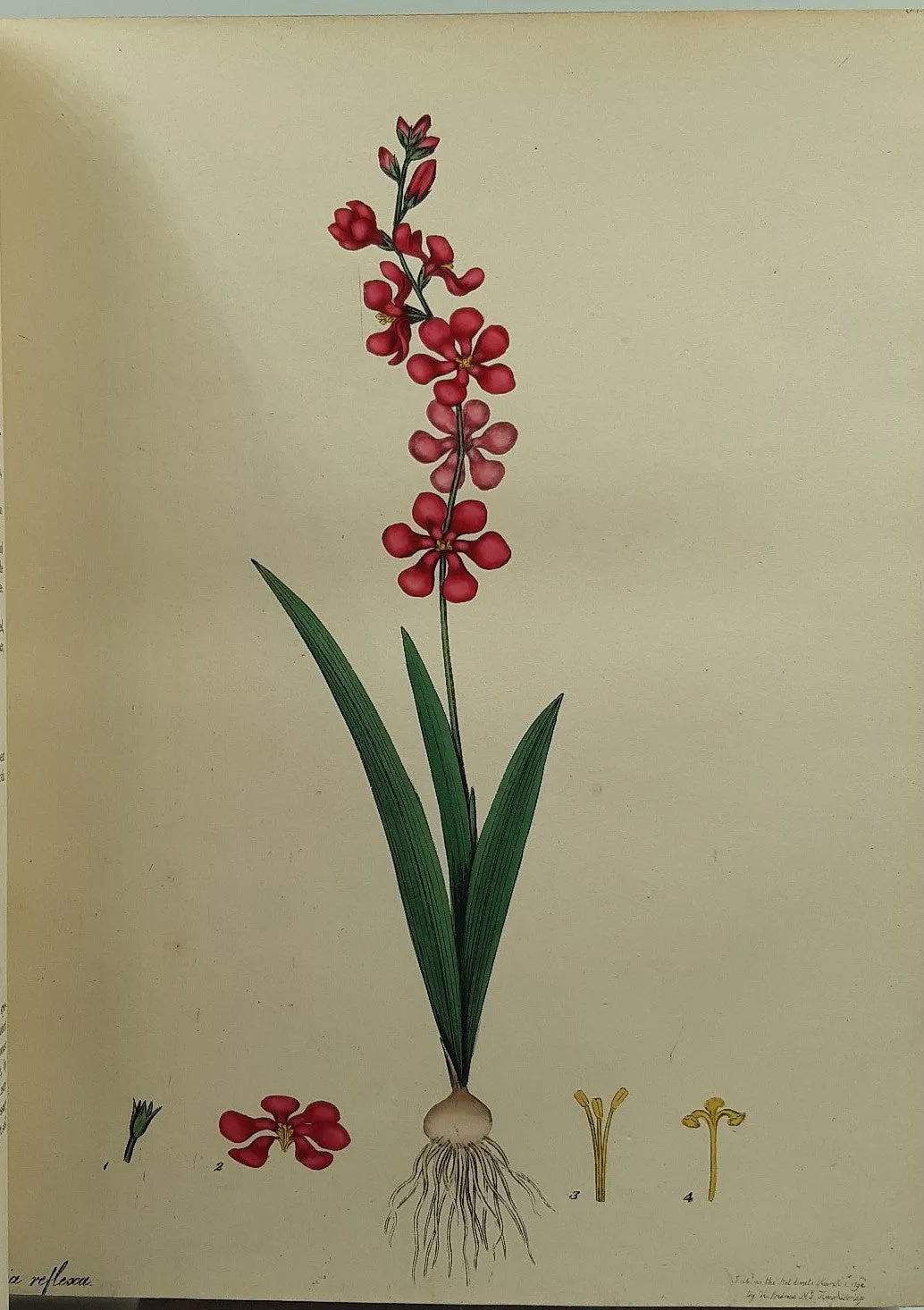 The Botanists Repository