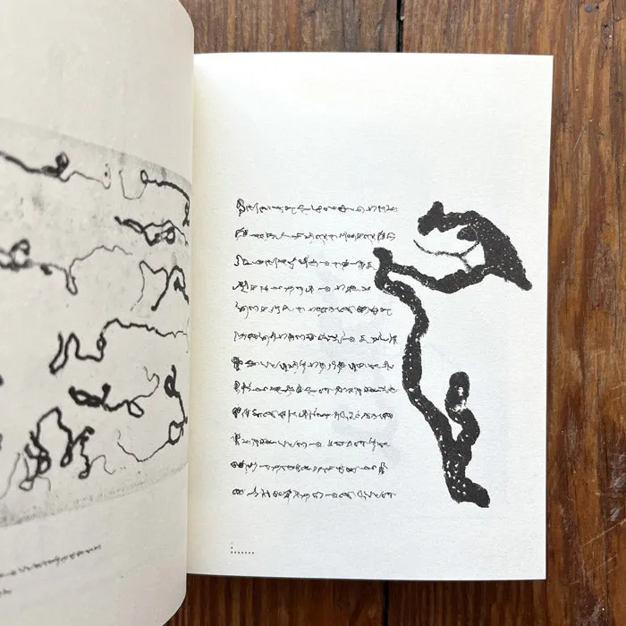 The Language of Bugs - Zhu Yingchun