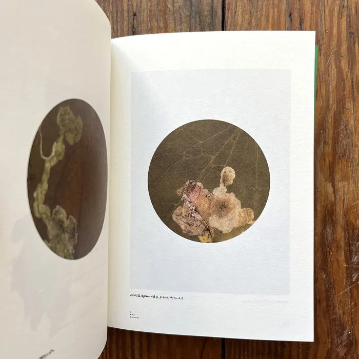 The Language of Bugs - Zhu Yingchun