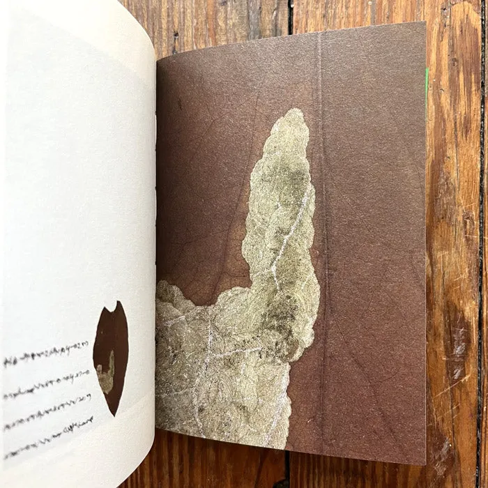The Language of Bugs - Zhu Yingchun